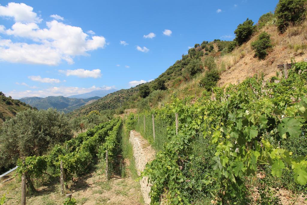 Profetina Village Motta Camastra Bagian luar foto